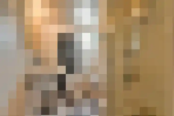 Mastbos 250 Hoofddorp thumbnail 28