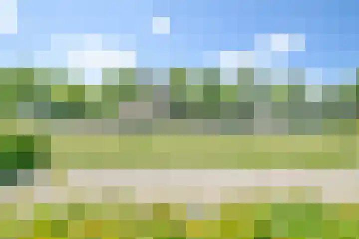 Mastbos 250 Hoofddorp thumbnail 32