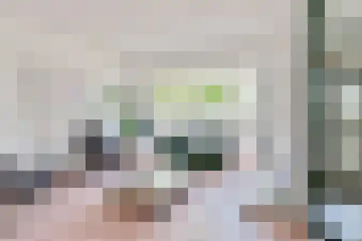 Mastbos 250 Hoofddorp thumbnail 6