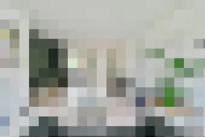 Mastbos 250 Hoofddorp thumbnail 9
