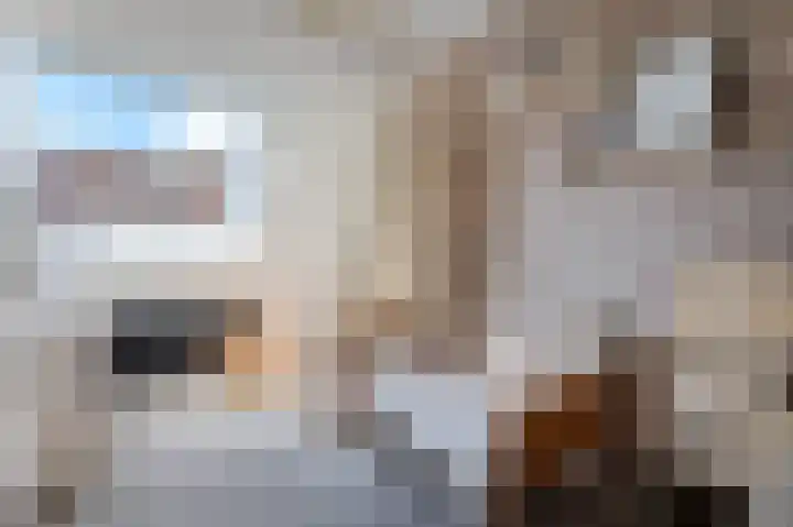 Mastbos 27 Hoofddorp thumbnail 18