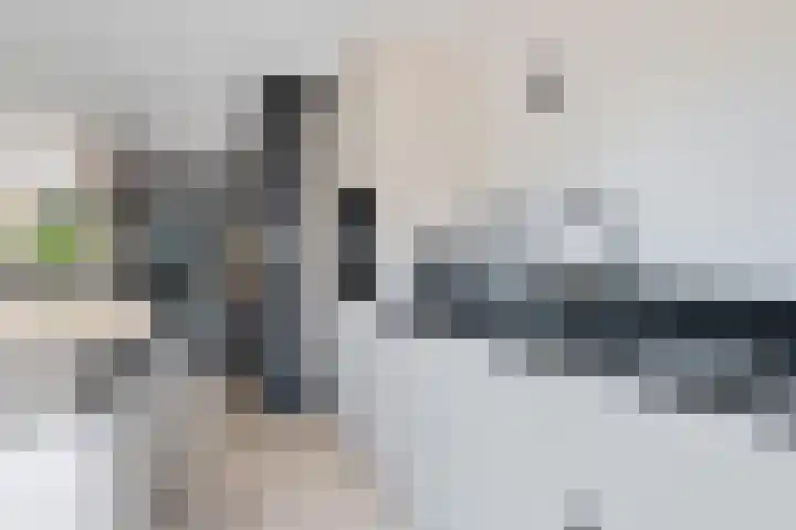 Mastbos 27 Hoofddorp thumbnail 7