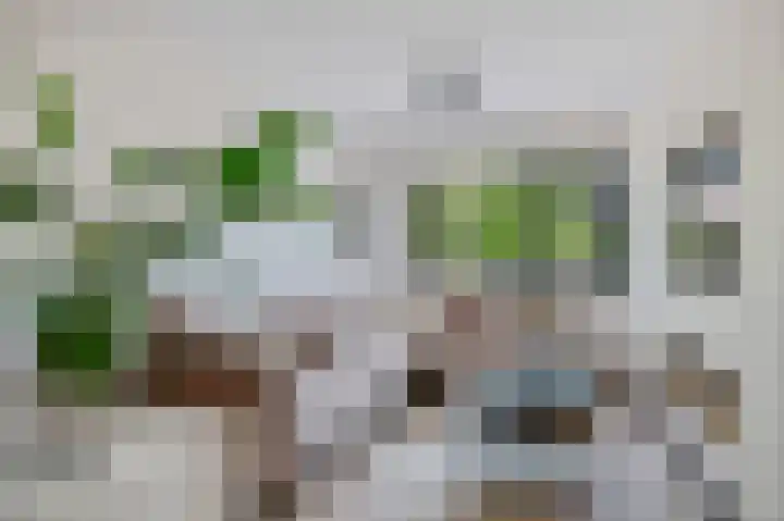 Mastbos 27 Hoofddorp thumbnail 9