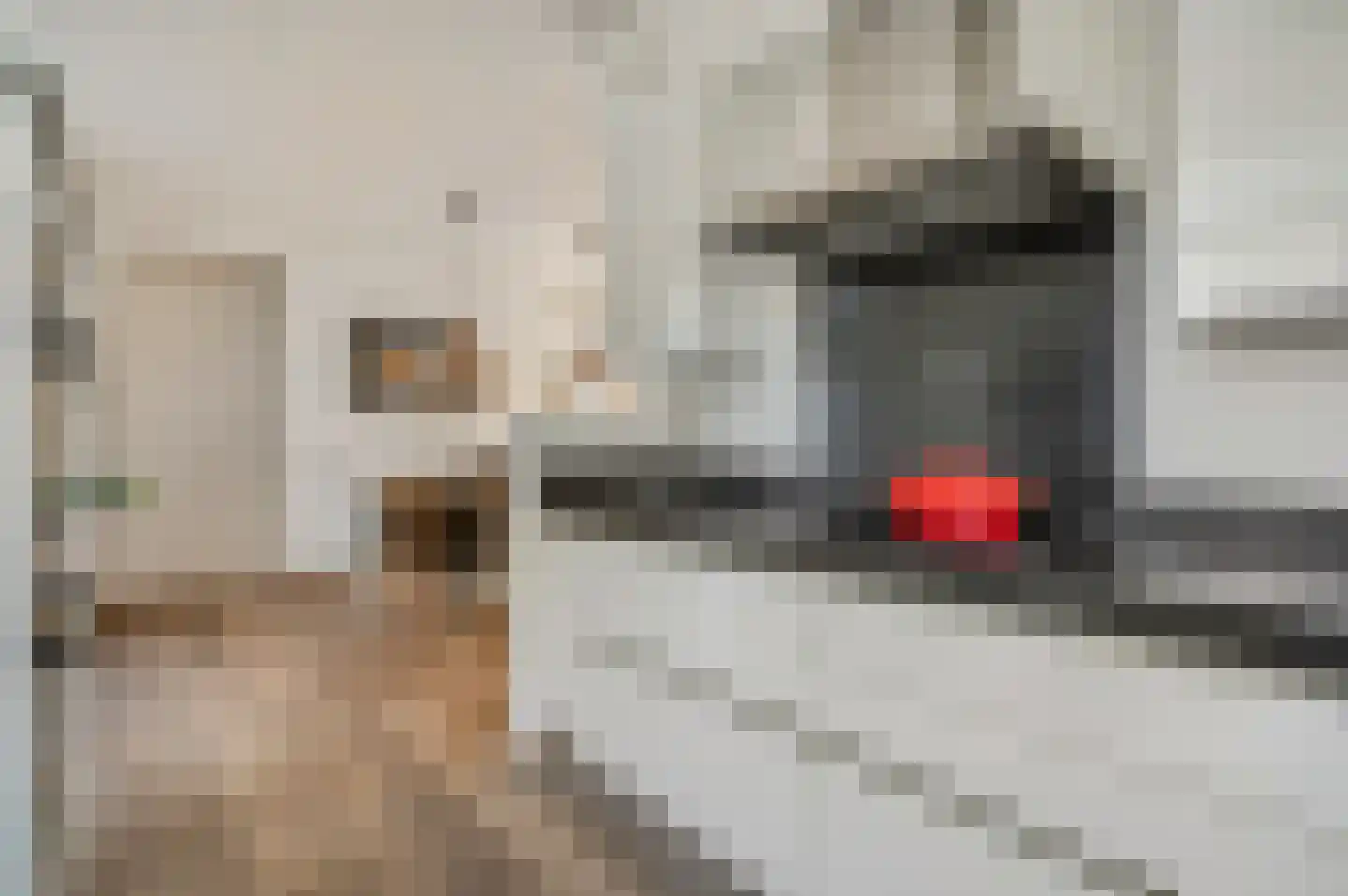 Mastbos 30 Ede thumbnail 13