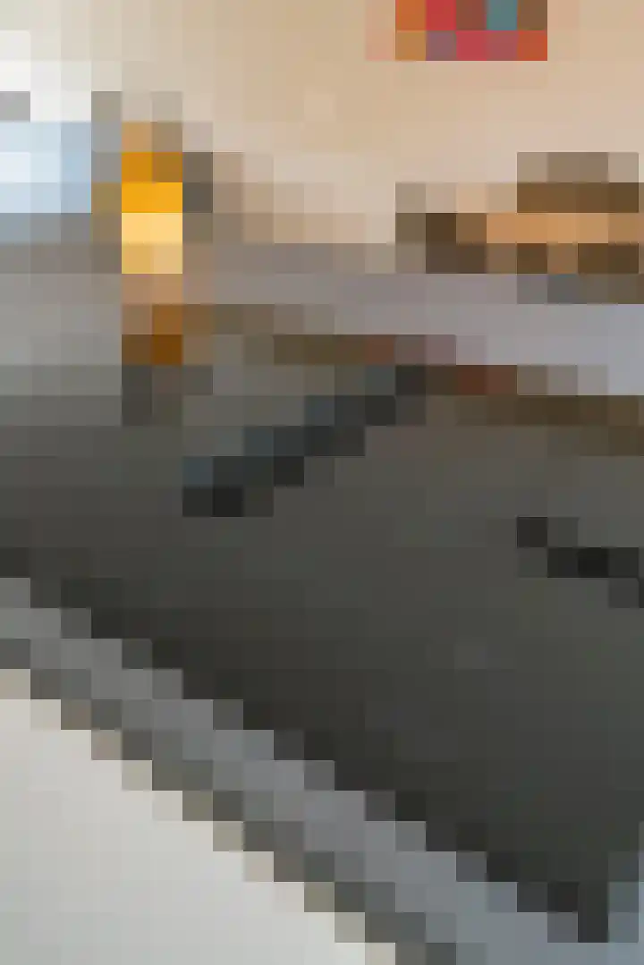Mastbos 43 Hoofddorp thumbnail 12