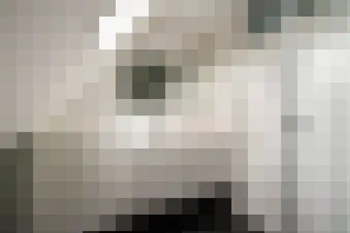 Mastbos 43 Hoofddorp thumbnail 21