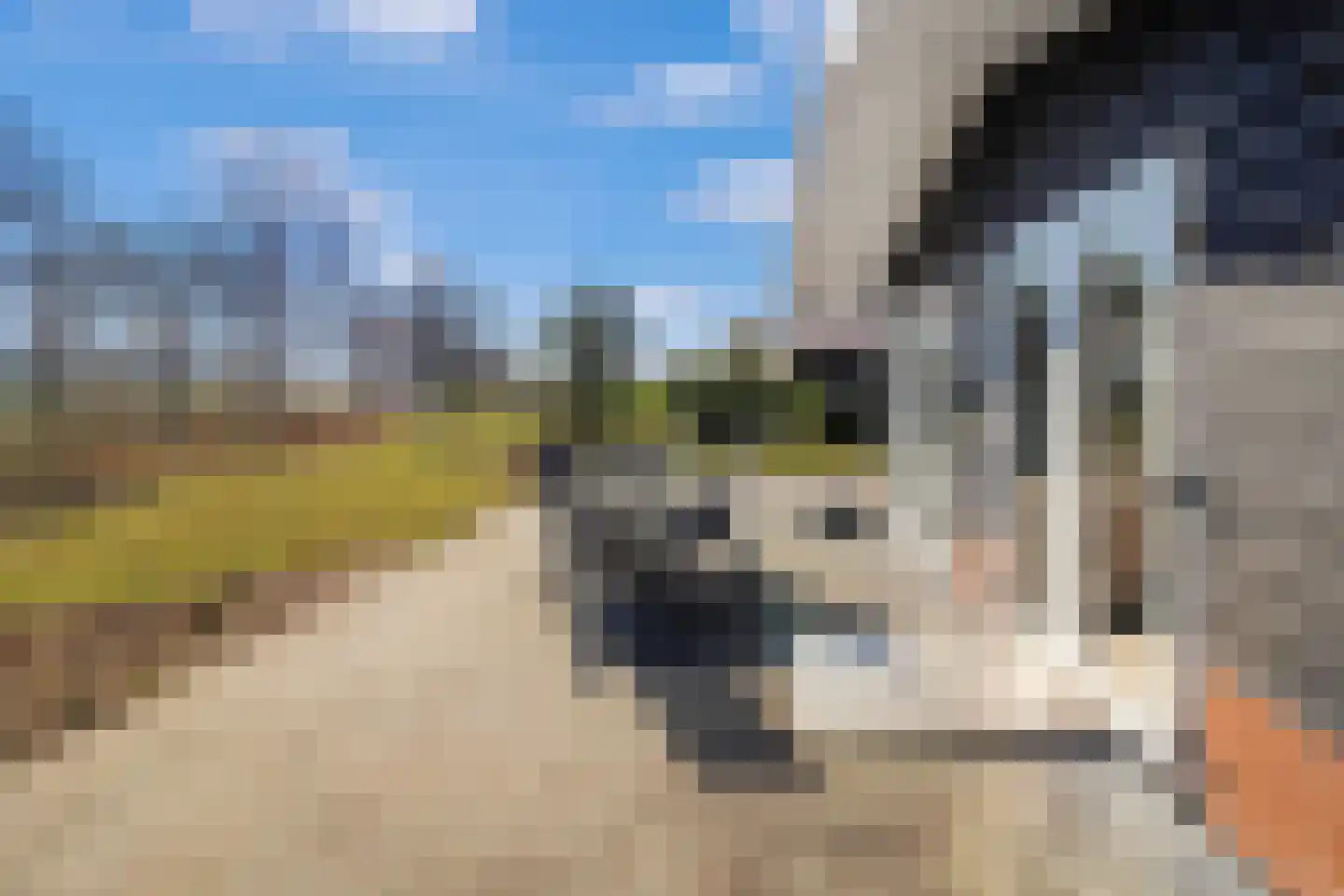 Mastbos 43 Hoofddorp thumbnail 33