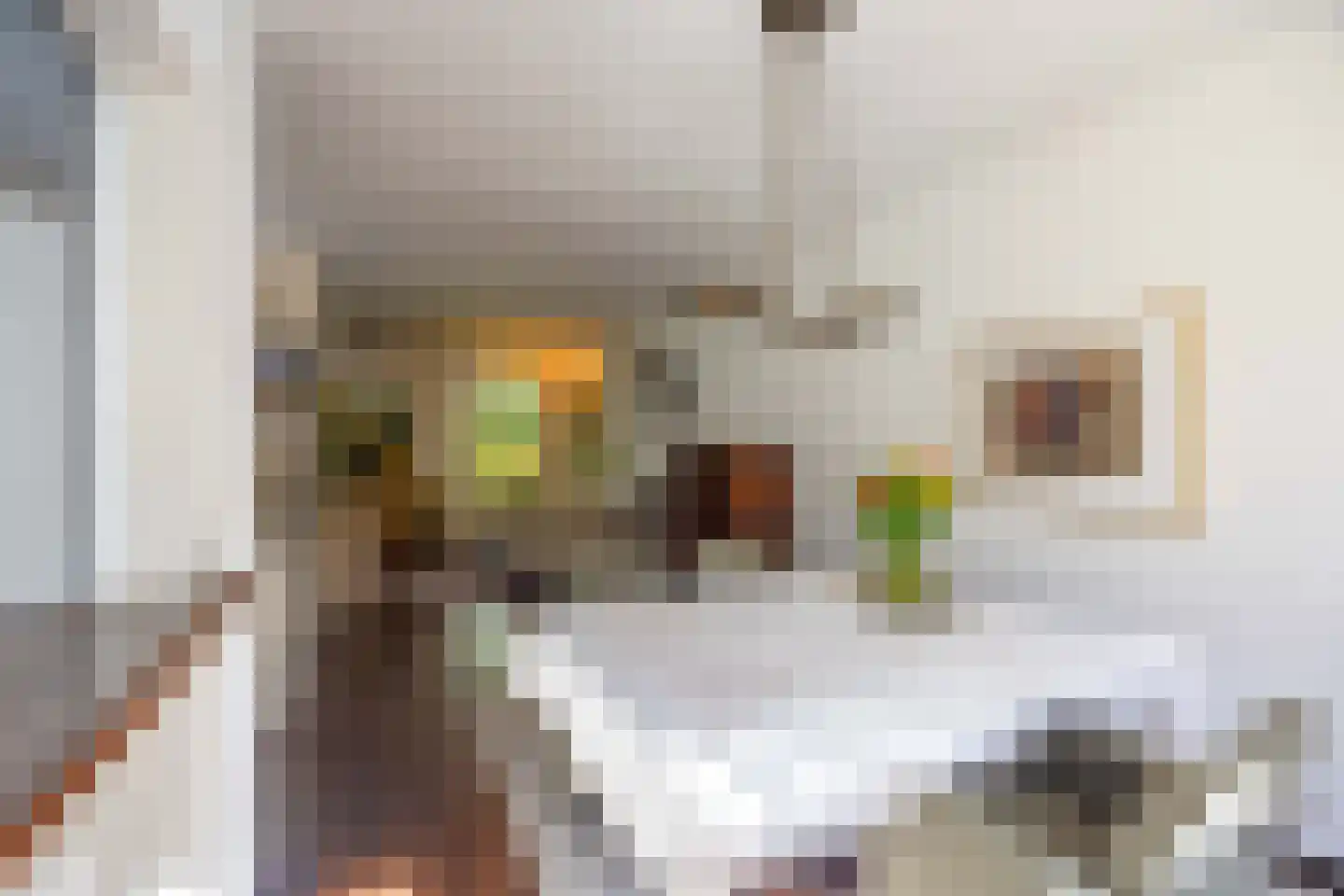 Mastbos 5 Venray thumbnail 10
