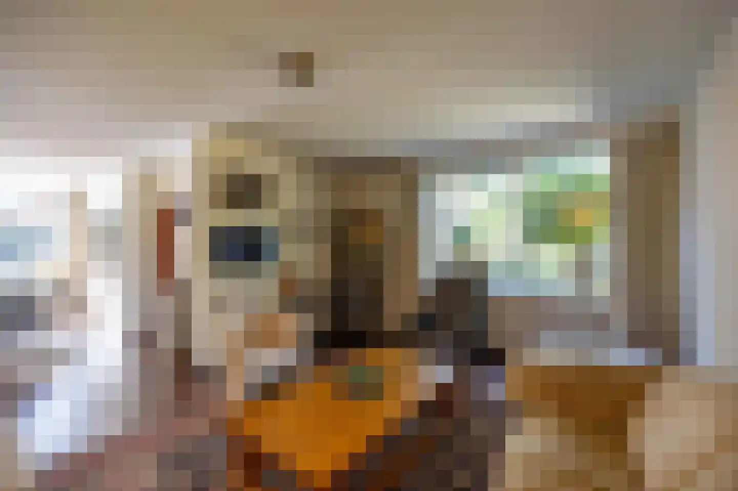 Mastbos 5 Venray thumbnail 13