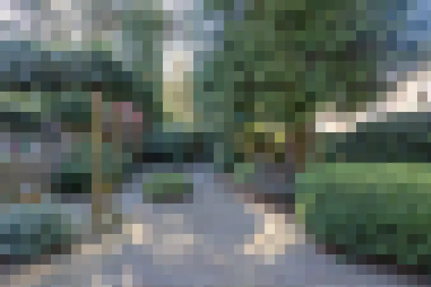 Mastbos 5 Venray thumbnail 36