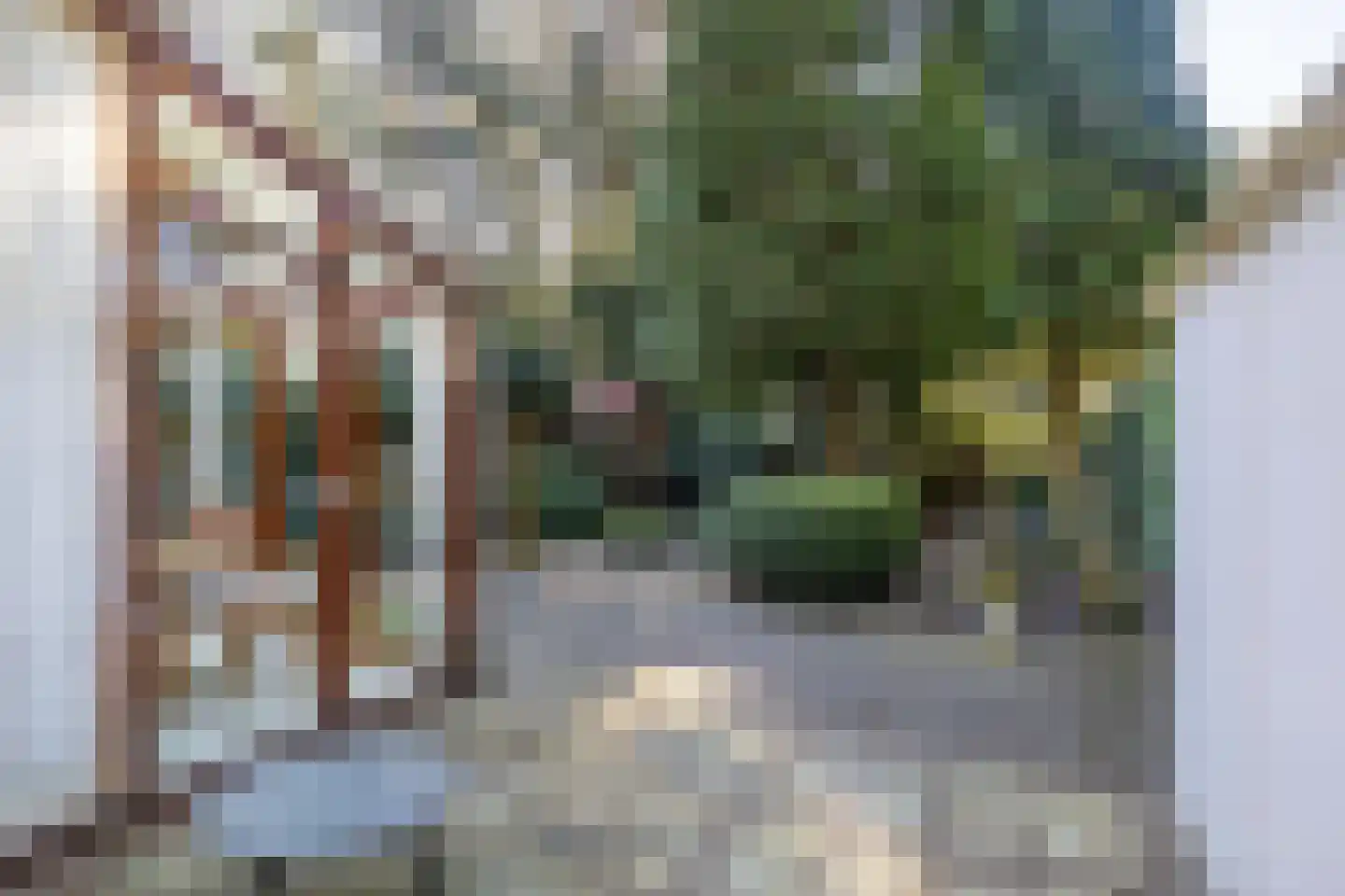 Mastbos 5 Venray thumbnail 37