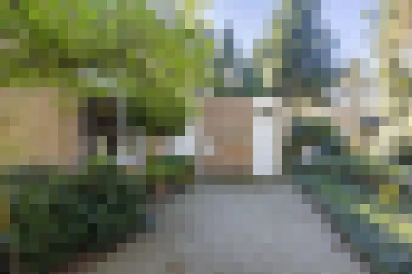 Mastbos 5 Venray thumbnail 4