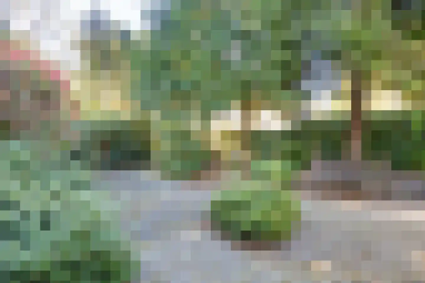 Mastbos 5 Venray thumbnail 41