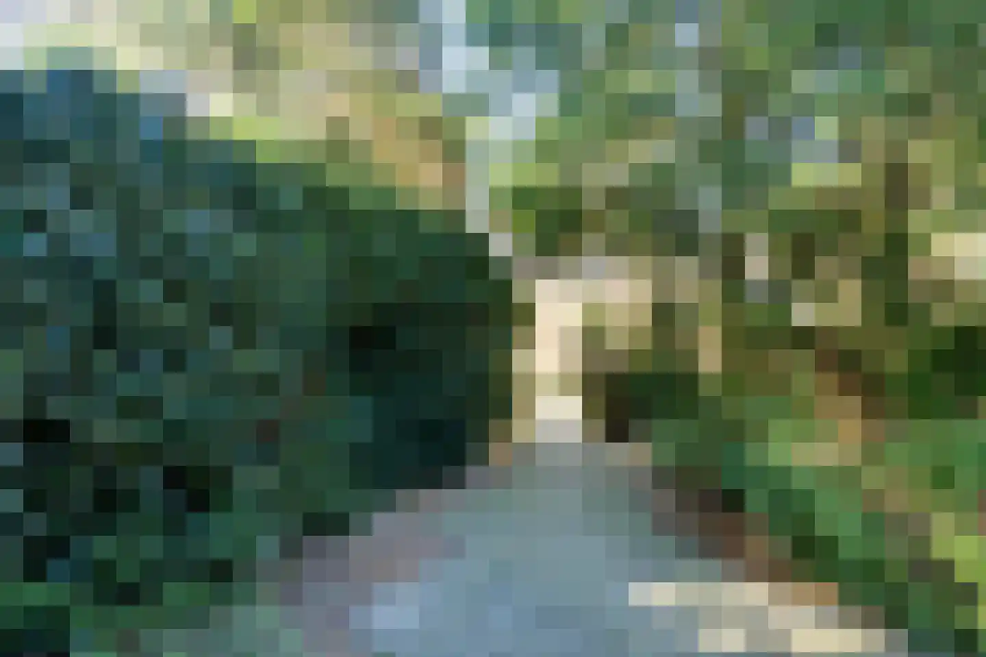 Mastbos 5 Venray thumbnail 42