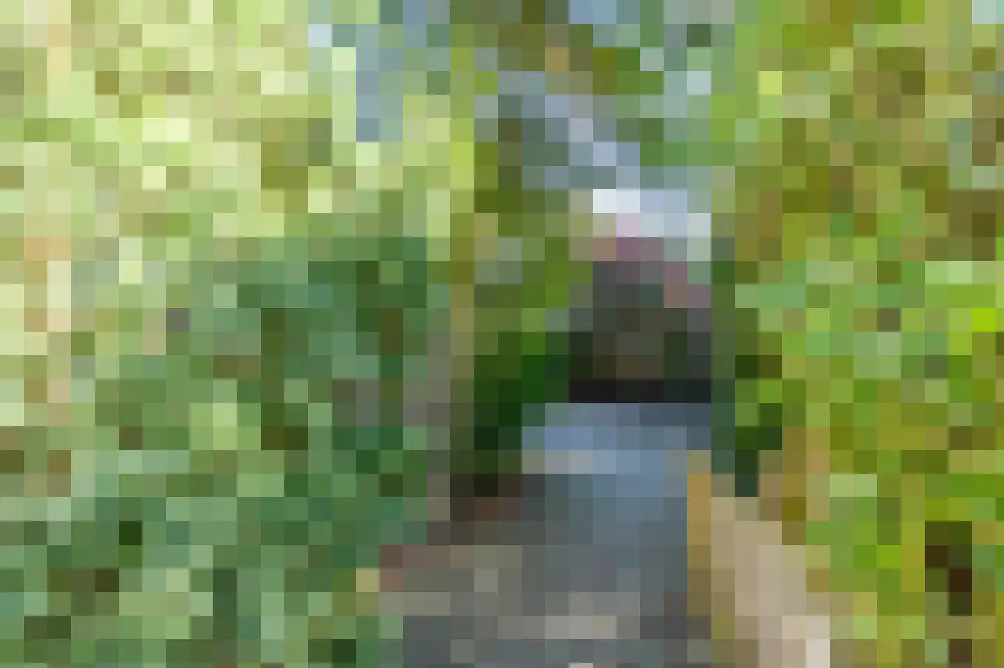 Mastbos 5 Venray thumbnail 43