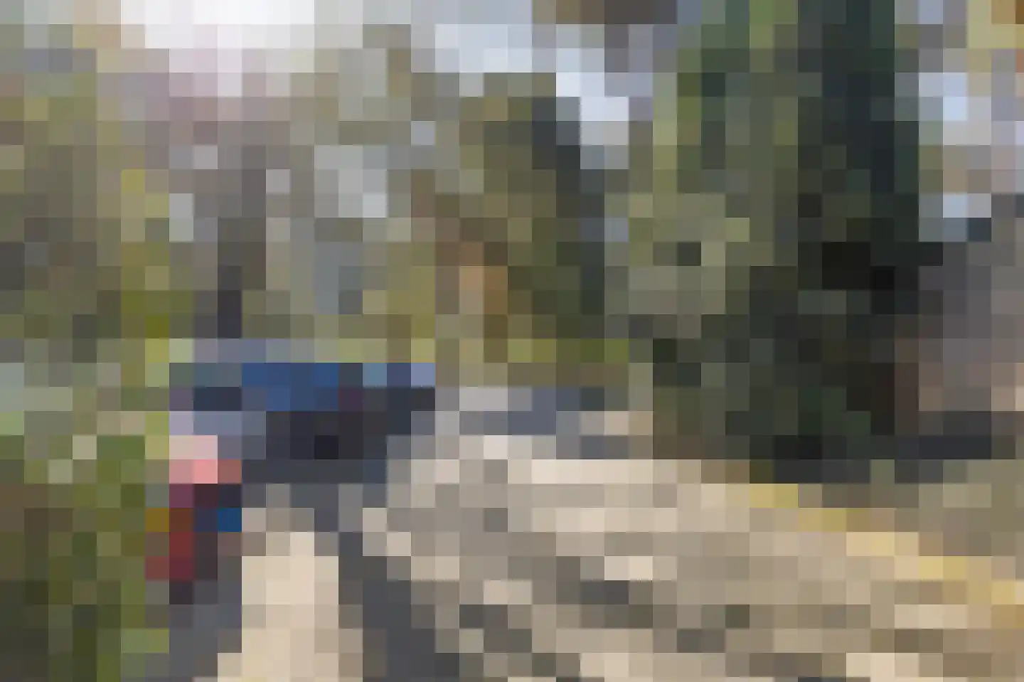 Mastbos 5 Venray thumbnail 44
