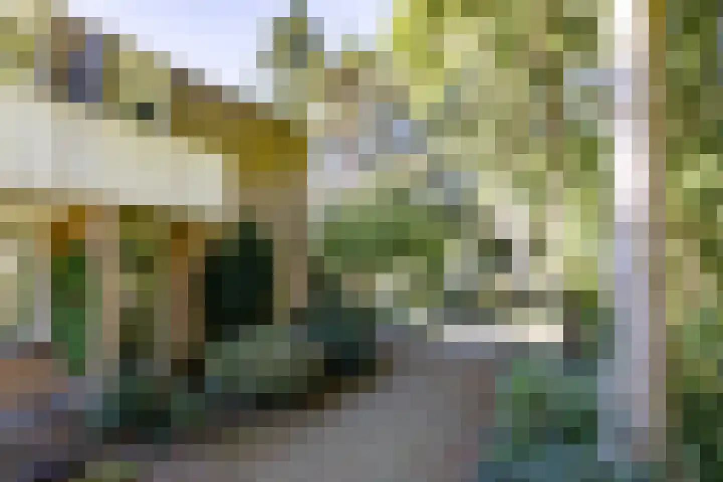 Mastbos 5 Venray thumbnail 45