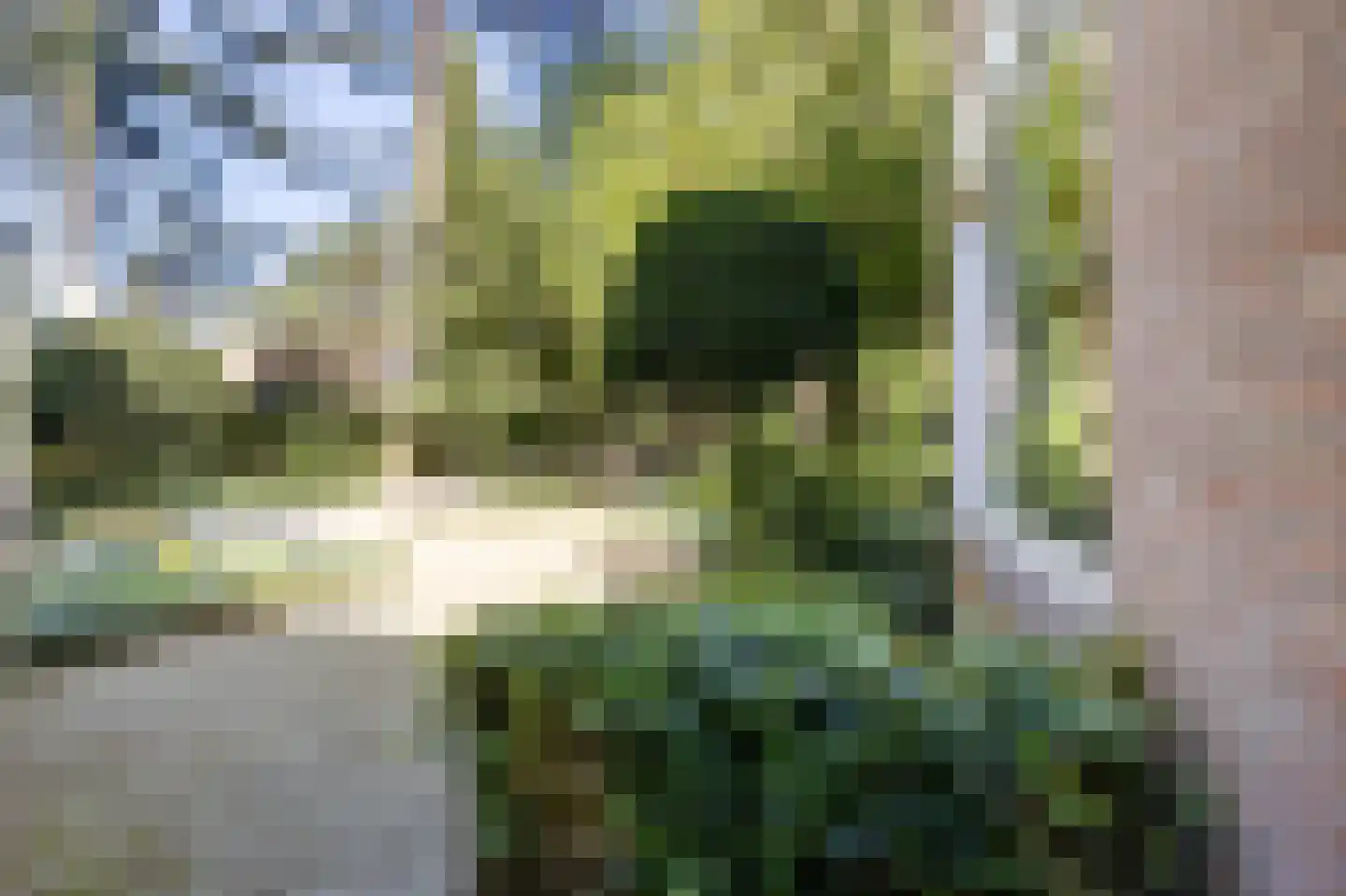 Mastbos 5 Venray thumbnail 46
