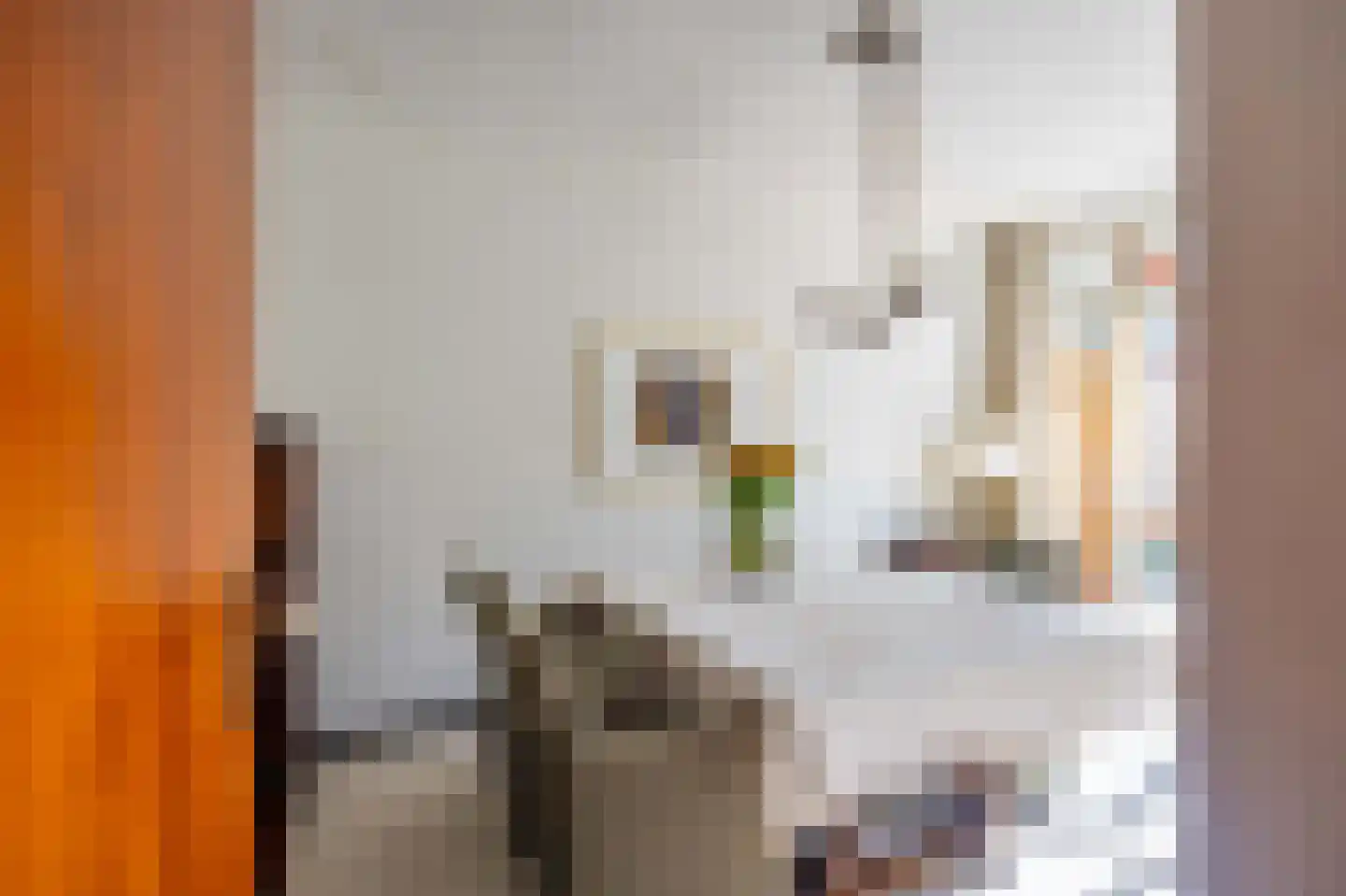 Mastbos 5 Venray thumbnail 9