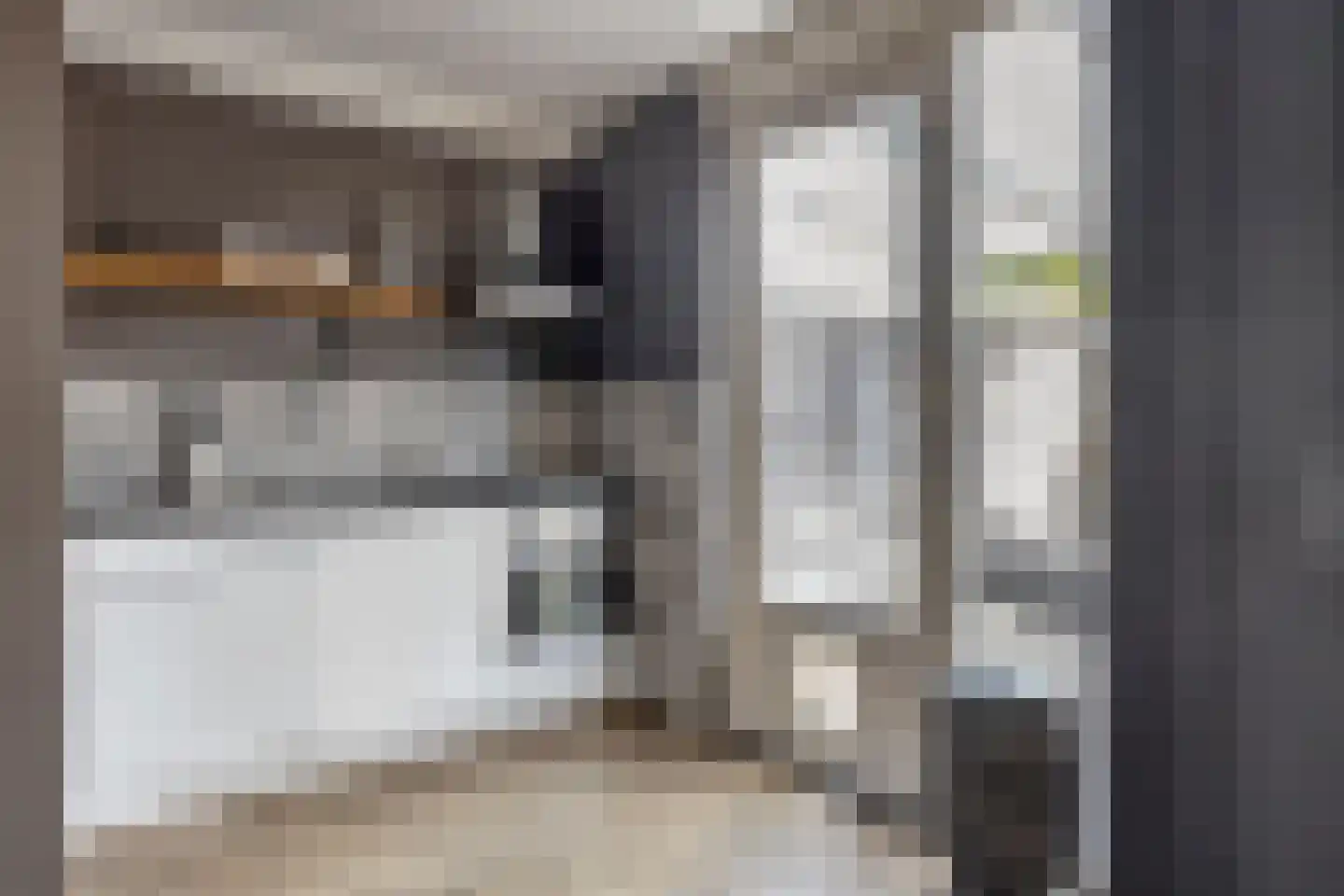 Mastbos 76 Hoofddorp thumbnail 12