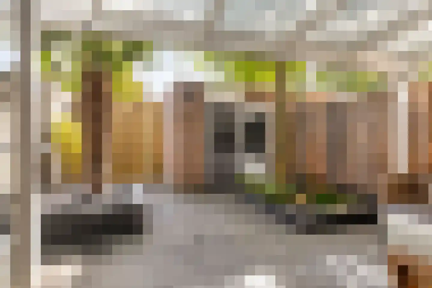 Mastbos 76 Hoofddorp thumbnail 24