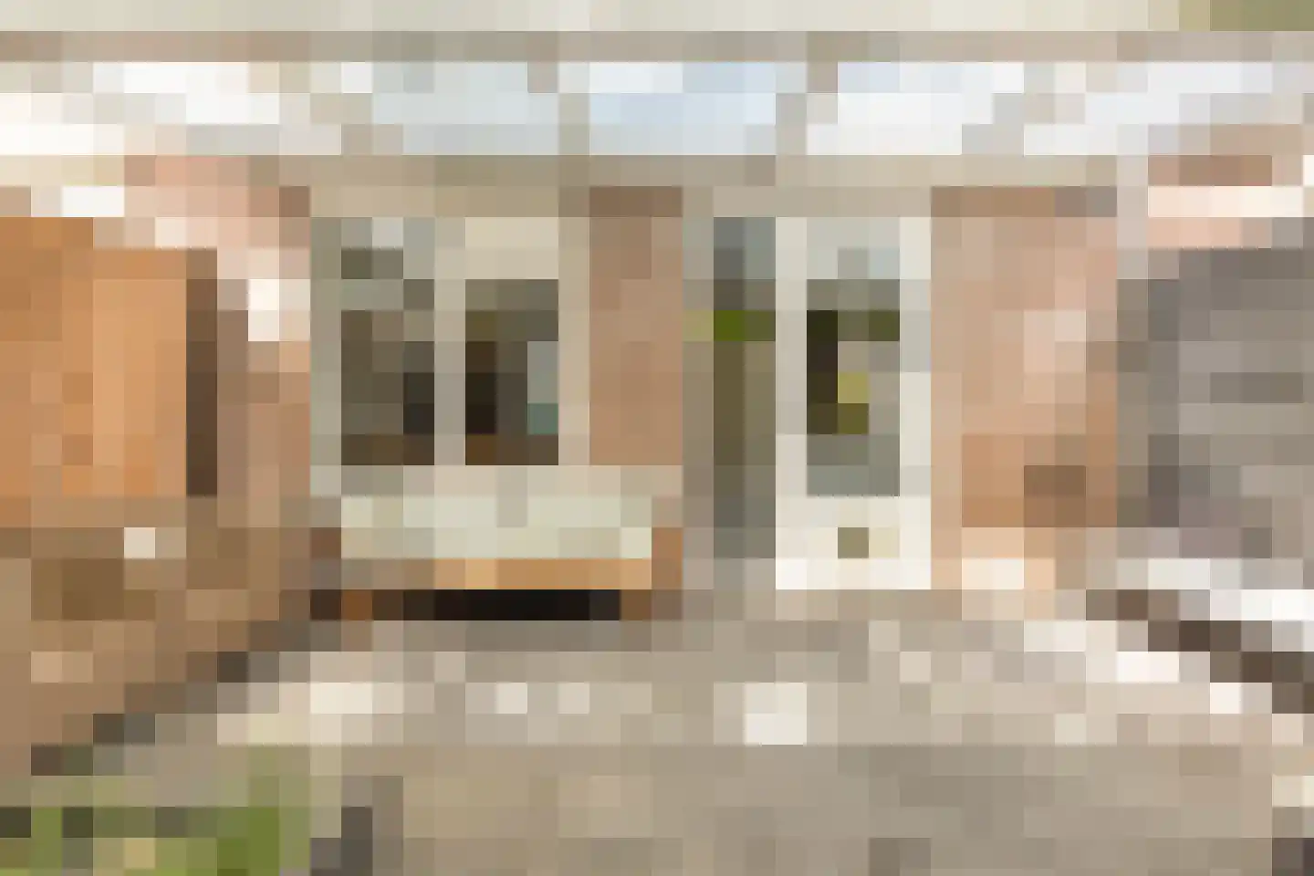Mastbos 76 Hoofddorp thumbnail 27