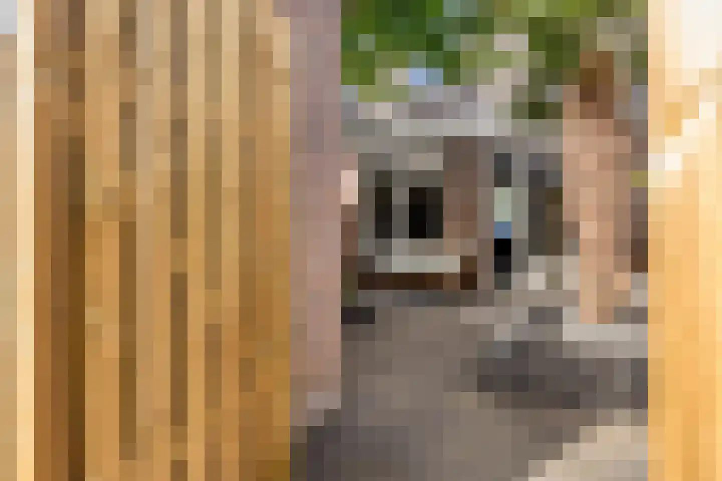 Mastbos 76 Hoofddorp thumbnail 28