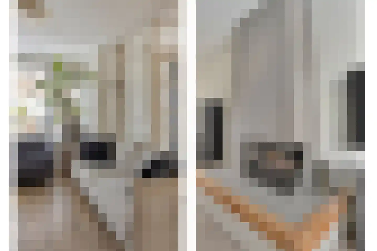 Mastbos 76 Hoofddorp thumbnail 8