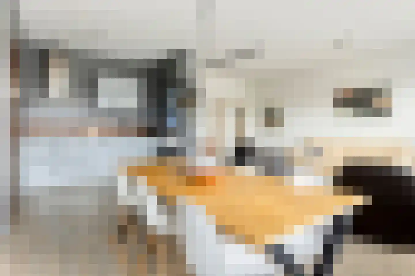 Mastbosstraat 12 B2 Breda thumbnail 16