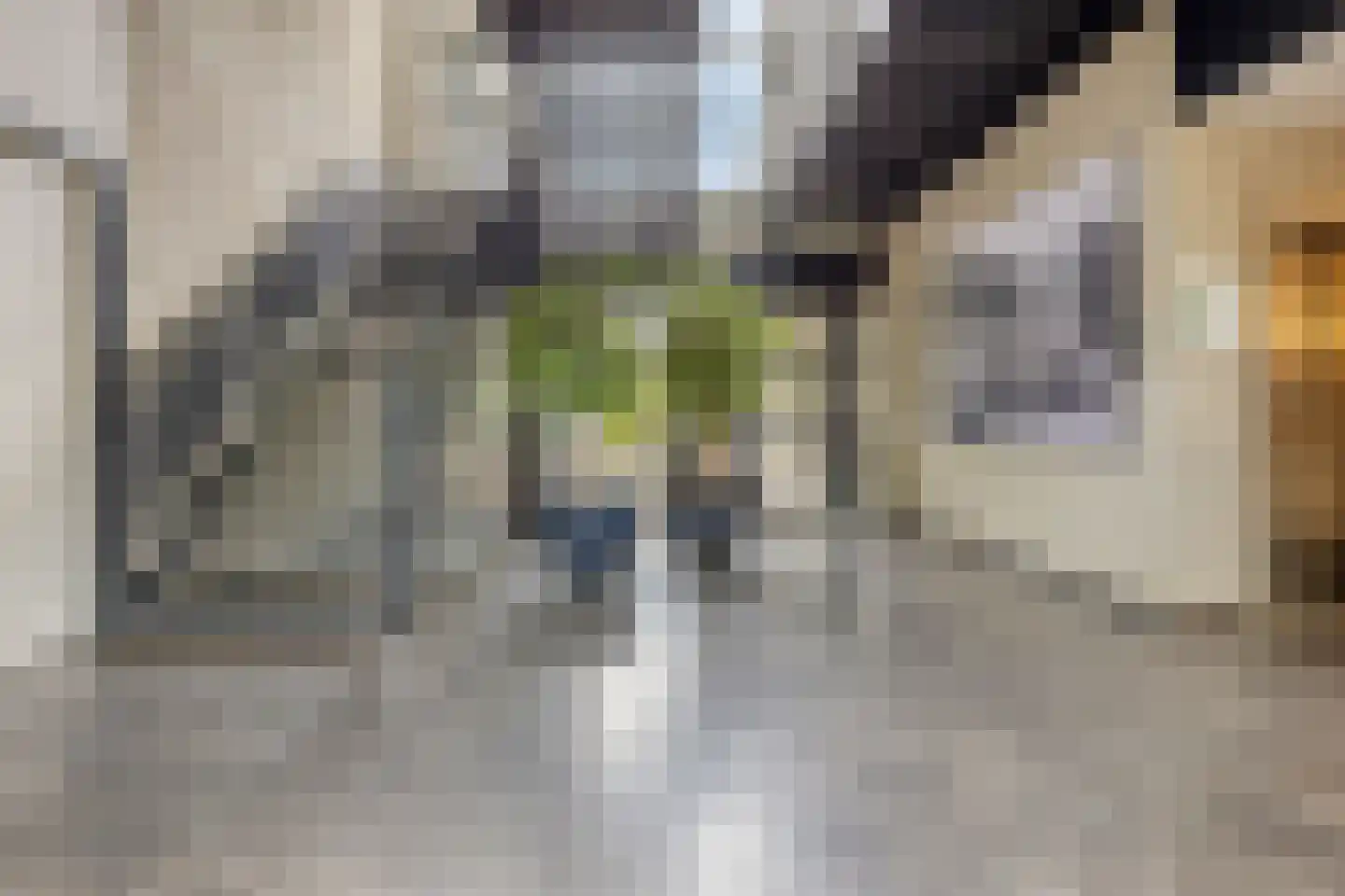 Mastbosstraat 12 B2 Breda thumbnail 6