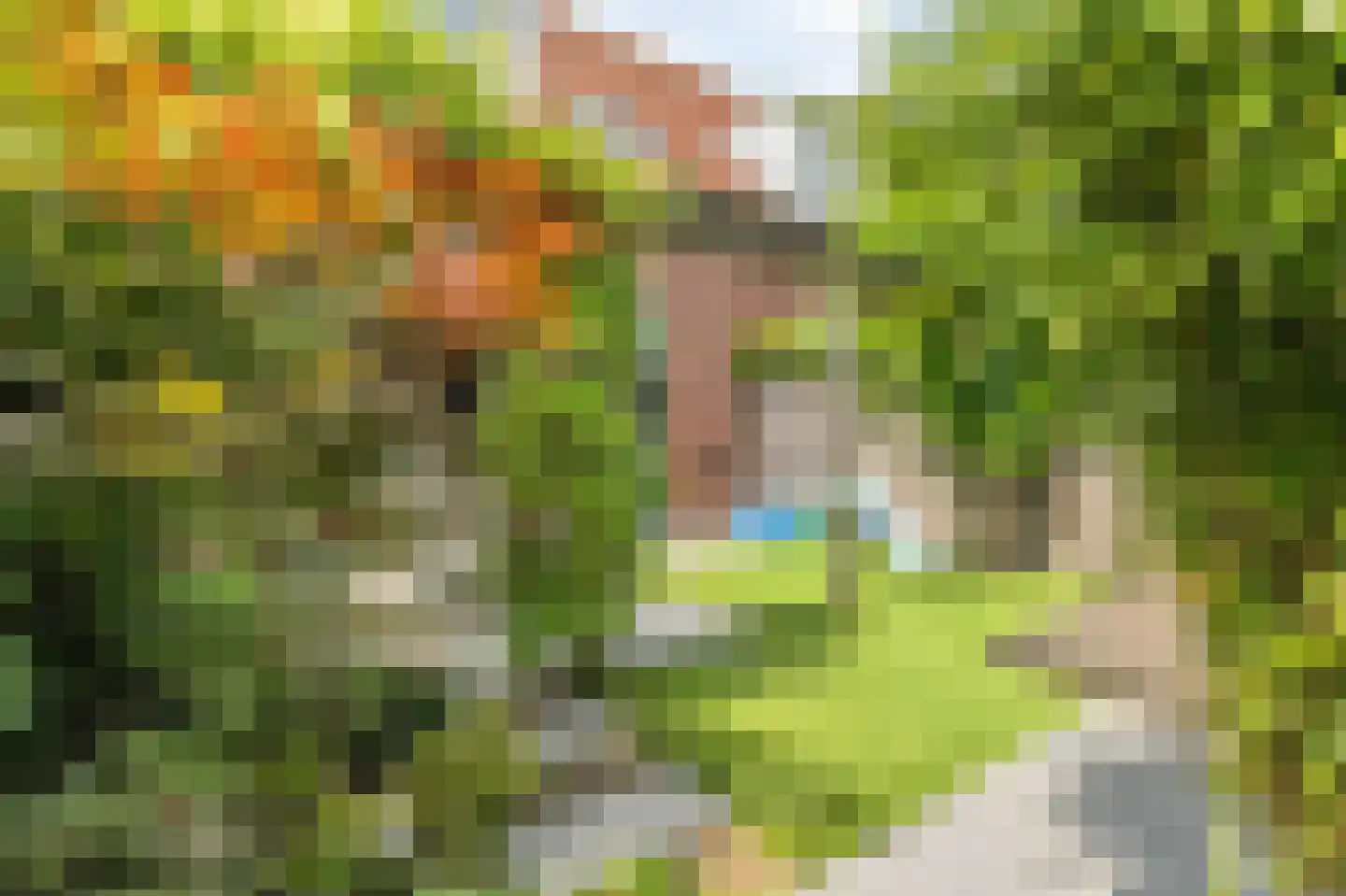 Mastbosstraat 143 Breda thumbnail 42