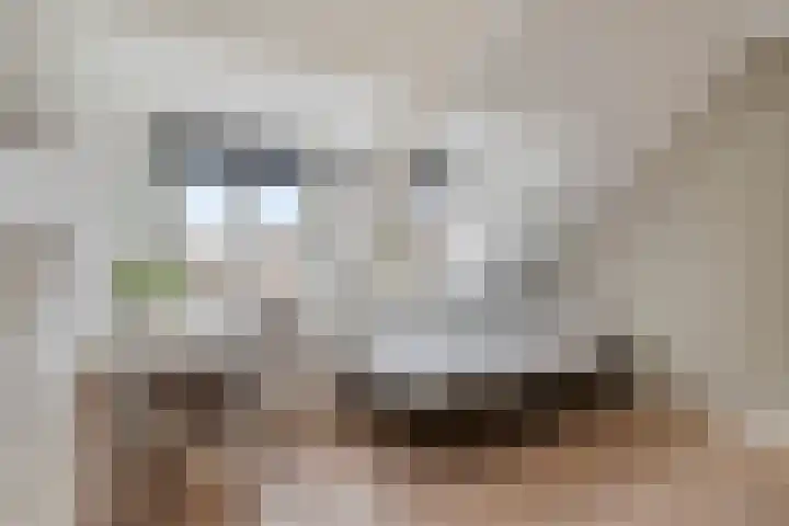 Mastbosstraat 69 Breda thumbnail 32