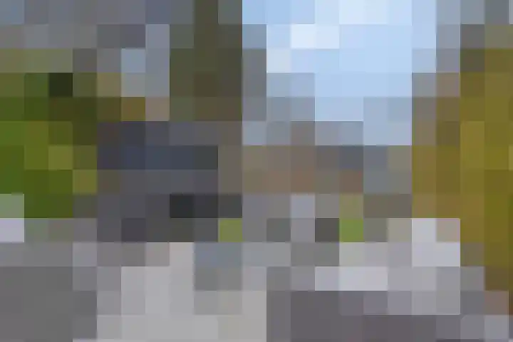 Mastbosstraat 69 Breda thumbnail 36