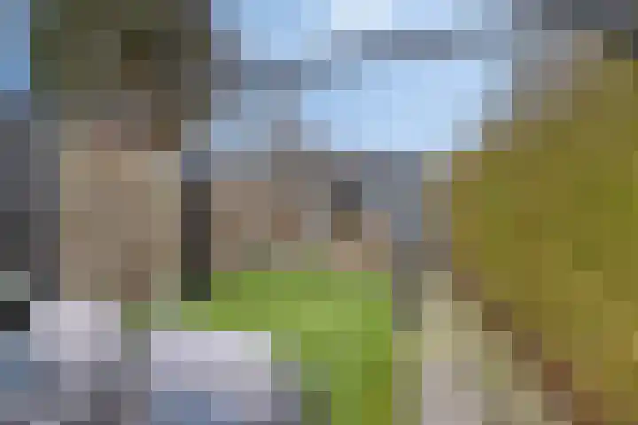 Mastbosstraat 69 Breda thumbnail 43