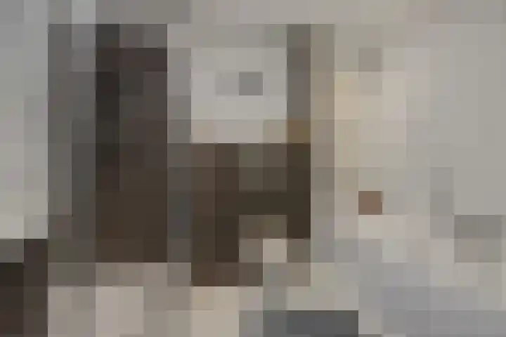 Mastdammenhoeve 10 Vught thumbnail 22