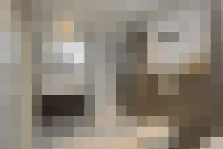 Mastdammenhoeve 10 Vught thumbnail 23