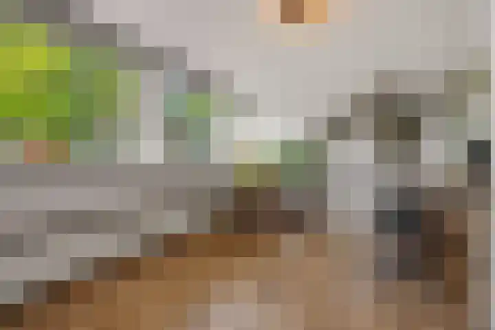 Mastdammenhoeve 10 Vught thumbnail 25