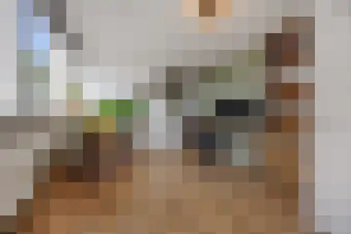 Mastdammenhoeve 10 Vught thumbnail 26