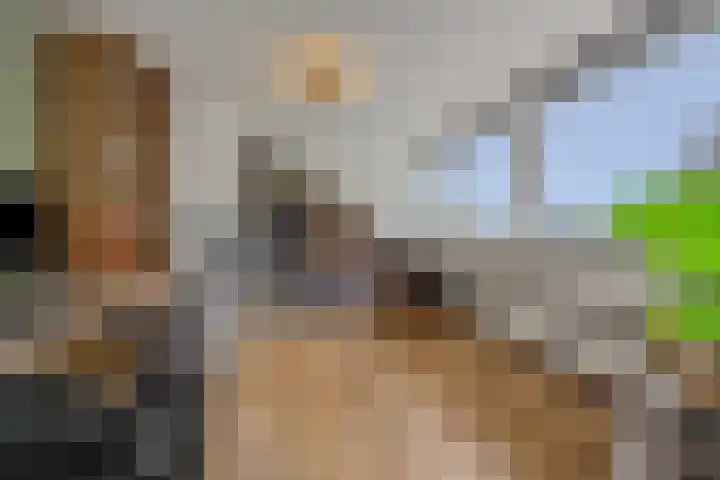 Mastdammenhoeve 10 Vught thumbnail 27