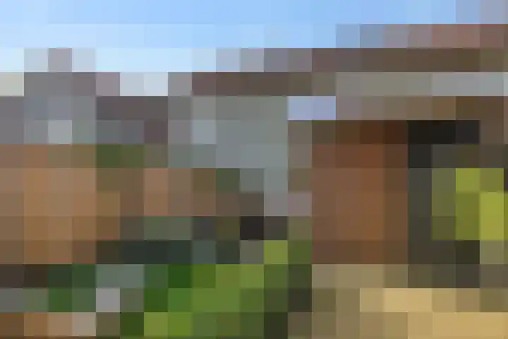 Mastdammenhoeve 10 Vught thumbnail 34