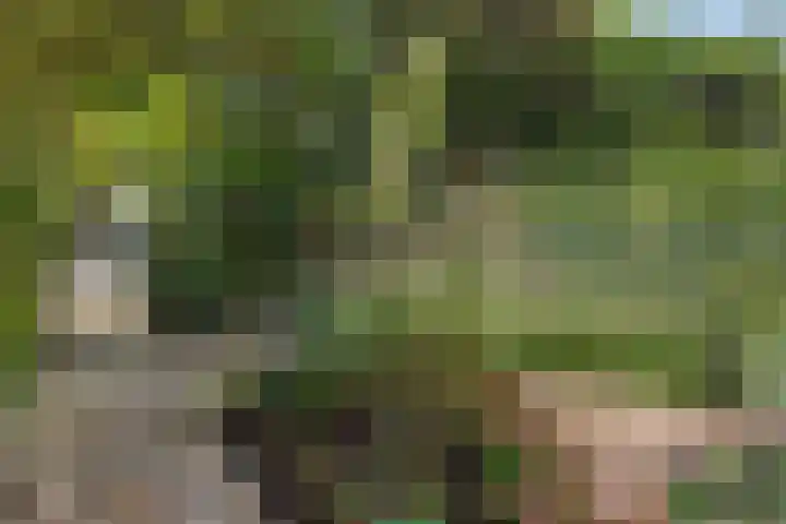 Mastdammenhoeve 10 Vught thumbnail 36
