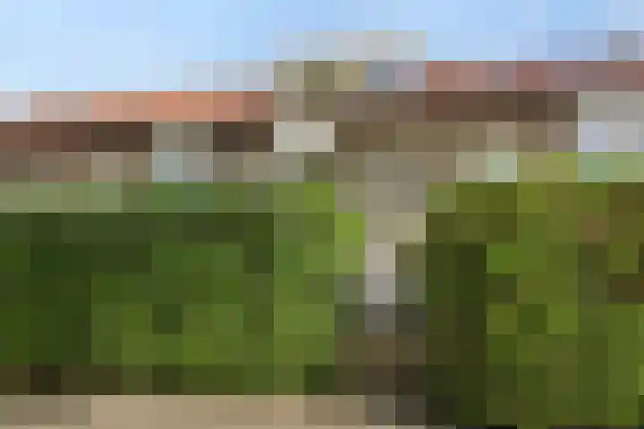 Mastdammenhoeve 10 Vught thumbnail 38