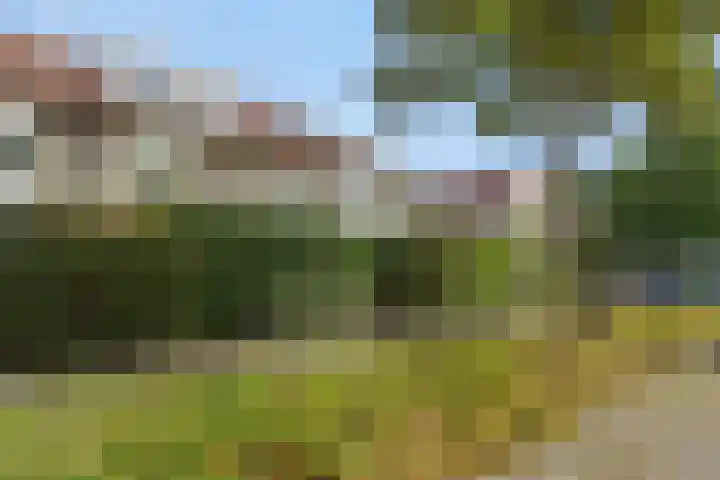 Mastdammenhoeve 10 Vught thumbnail 39