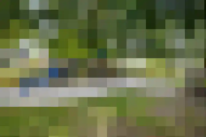 Mastdammenhoeve 10 Vught thumbnail 42
