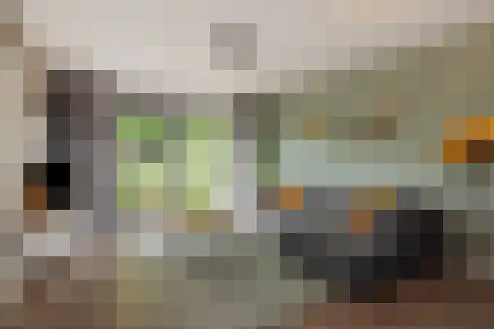 Mastdammenhoeve 10 Vught thumbnail 6