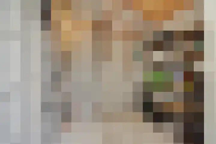 Mastdammenhoeve 22 Vught thumbnail 13