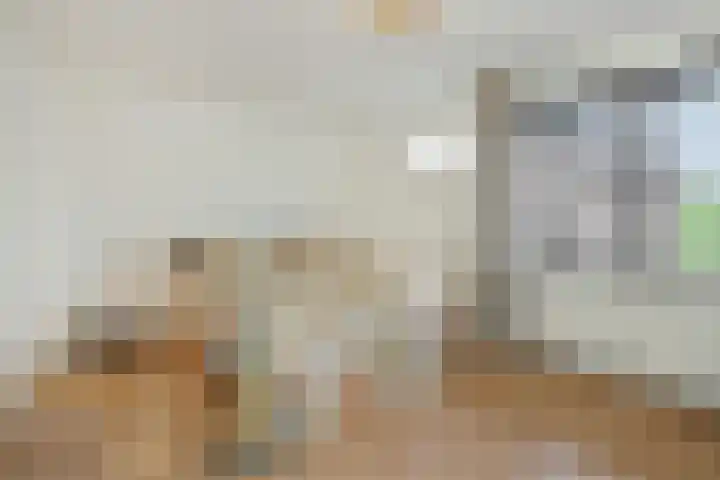 Mastdammenhoeve 22 Vught thumbnail 15