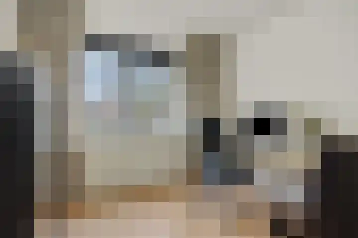 Mastdammenhoeve 22 Vught thumbnail 17