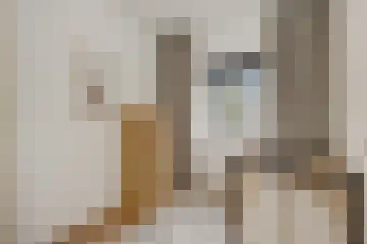 Mastdammenhoeve 22 Vught thumbnail 18