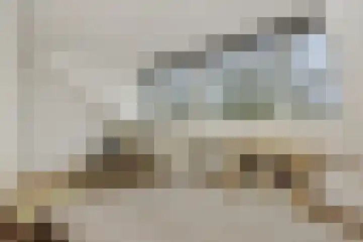 Mastdammenhoeve 22 Vught thumbnail 23